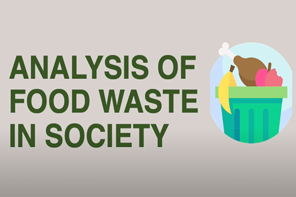 Analysis of Food Waste in Society - Executive Summary Video