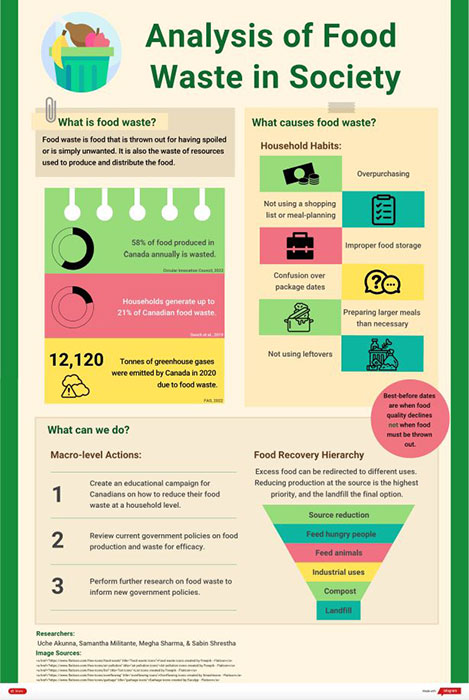 Poster showing a summary of the project research findings