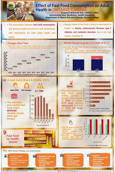 Poster showing a summary of the project research findings