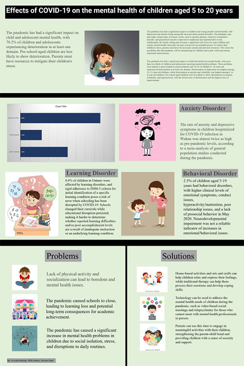 Poster showing a summary of the project research findings