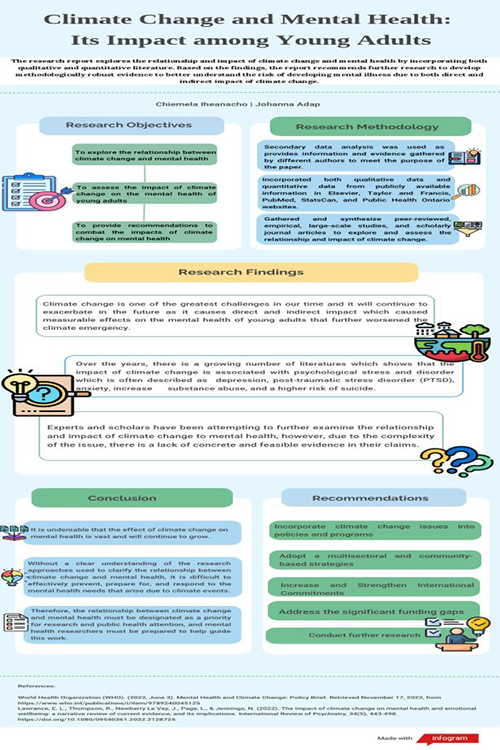 Poster showing a summary of the project research findings